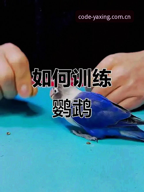 一位技术老鸟的实战经验：为什么我说“每一行代码都是原创信念YAXING亚星登录页”才是真功夫